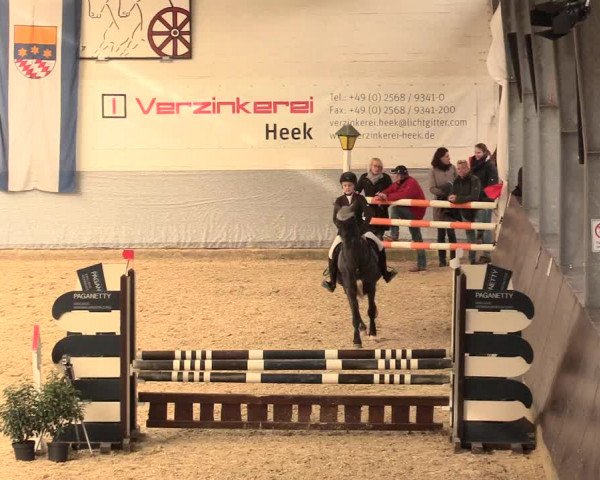 Legdener Ponymeeting 2016