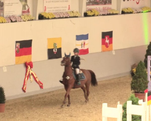 Legdener Ponymeeting 2016