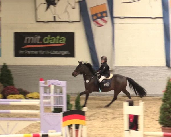 Legdener Ponymeeting 2016