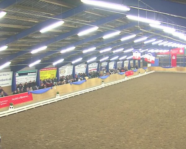 Dressurturnier Großenwiehe 2016