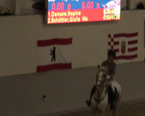 Legdener Ponymeeting 2016