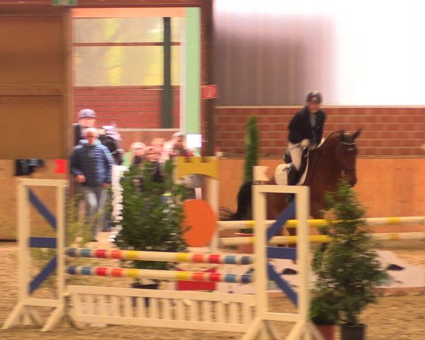 Reitturnier Iserlohn-Kalthof 2016