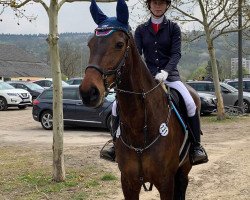 jumper Cheyna (Westphalian, 2006, from Conceicao)