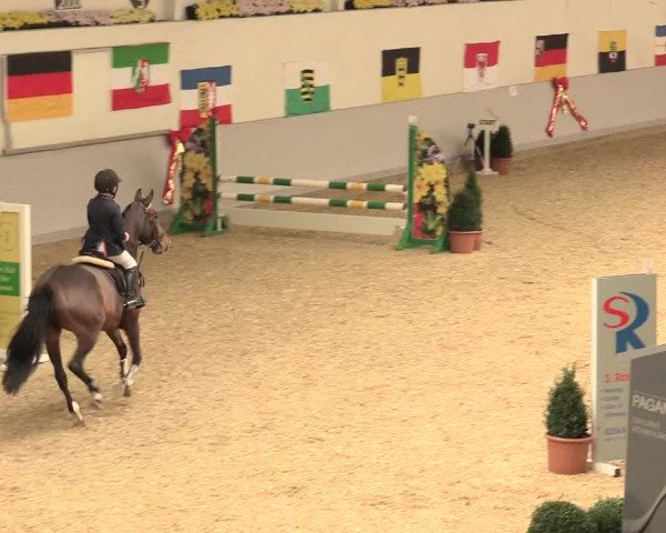 Legdener Ponymeeting 2016