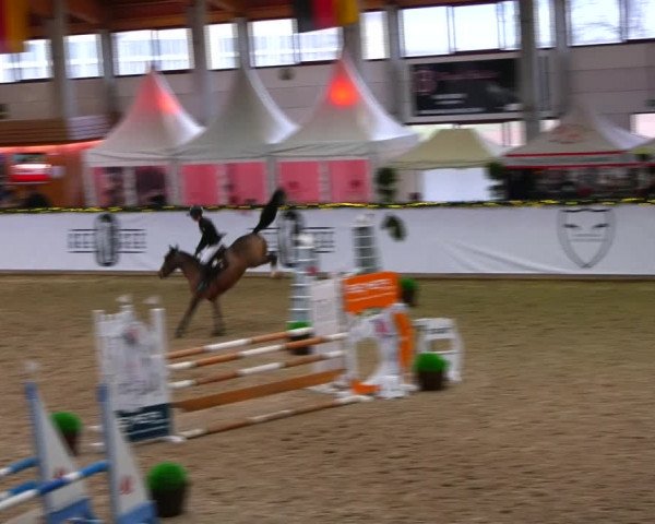 Christmas Jumping Trophy Prussendorf 2021