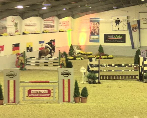 Legdener Ponymeeting 2016