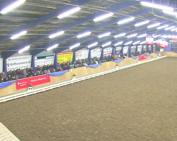 Dressurturnier Großenwiehe 2016
