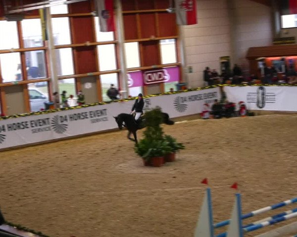 Christmas Jumping Trophy Prussendorf 2021