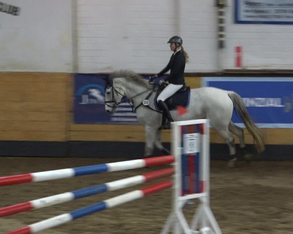 Reitturnier Heide 2021