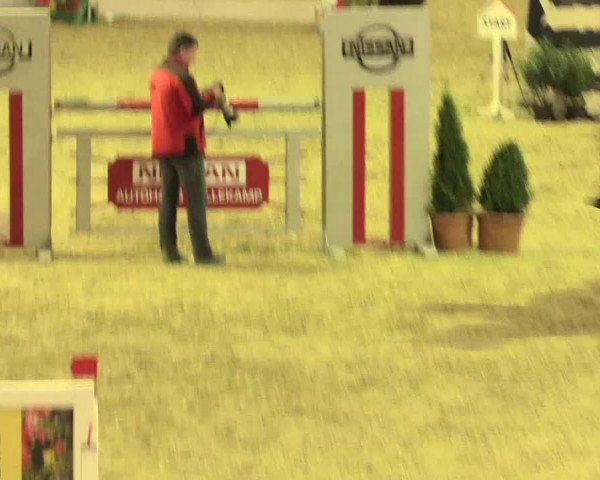 Legdener Ponymeeting 2016