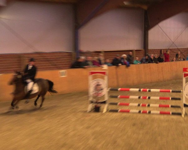 Reitturnier Iserlohn-Kalthof 2016