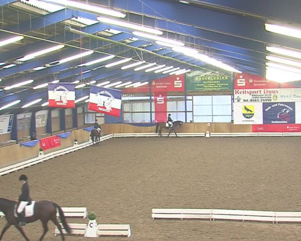 Dressurturnier Großenwiehe 2016