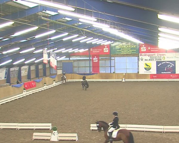 Dressurturnier Großenwiehe 2016