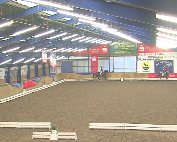 Dressurturnier Großenwiehe 2016