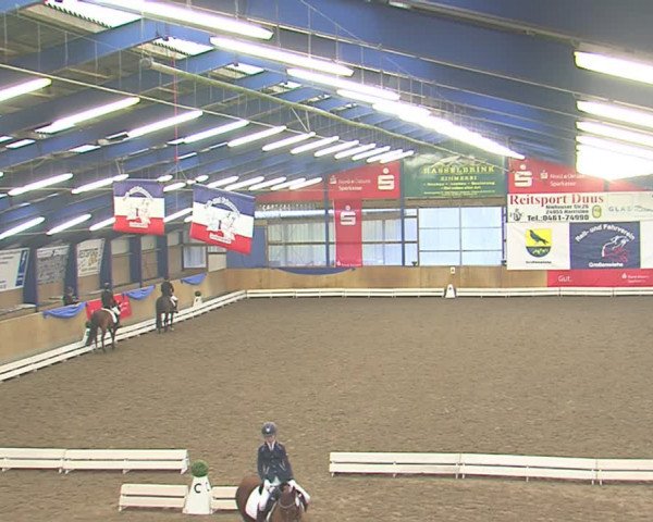 Dressurturnier Großenwiehe 2016