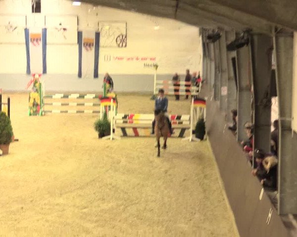 Legdener Ponymeeting 2016