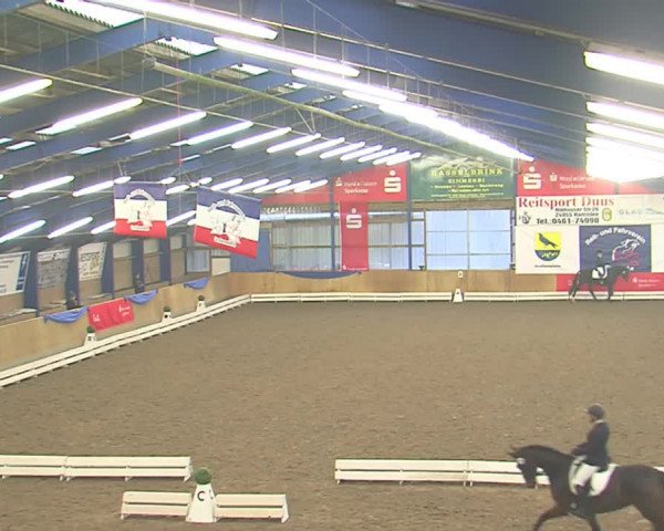 Dressurturnier Großenwiehe 2016