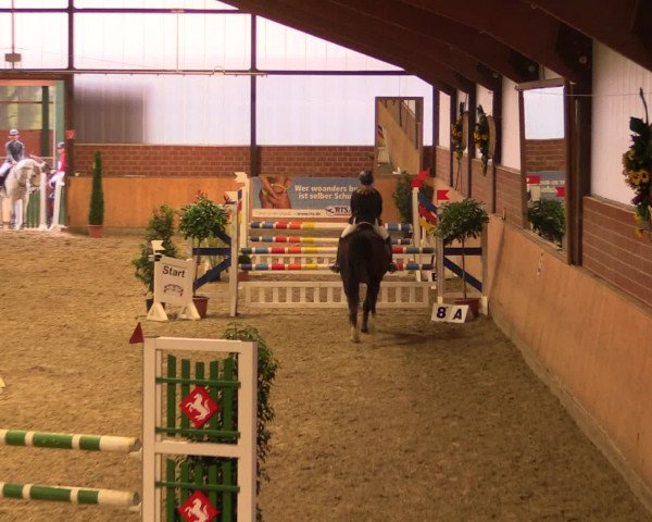 Reitturnier Iserlohn-Kalthof 2016