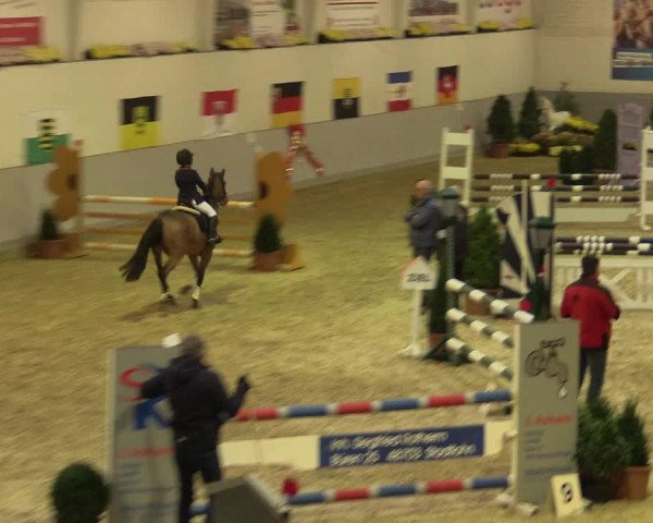 Legdener Ponymeeting 2016