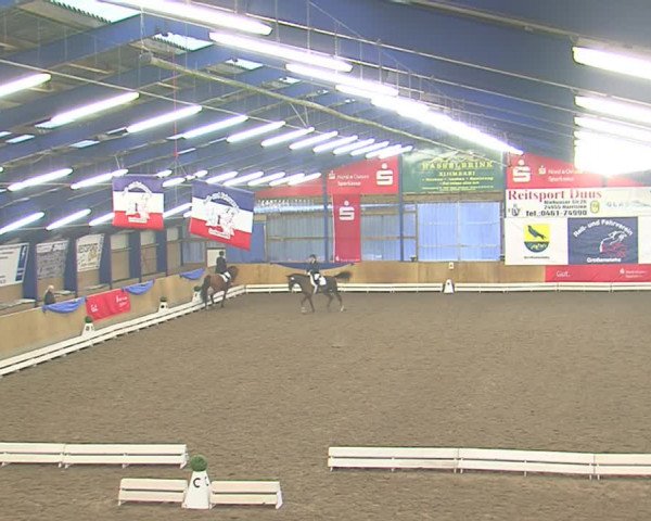 Dressurturnier Großenwiehe 2016