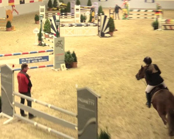 Legdener Ponymeeting 2016