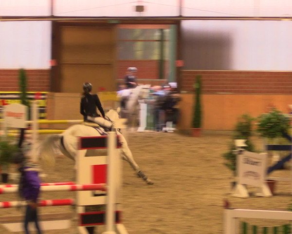 Reitturnier Iserlohn-Kalthof 2016