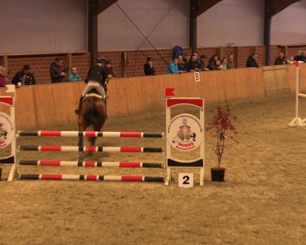 Reitturnier Iserlohn-Kalthof 2016
