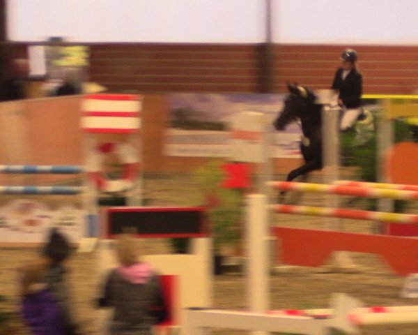 Reitturnier Iserlohn-Kalthof 2016