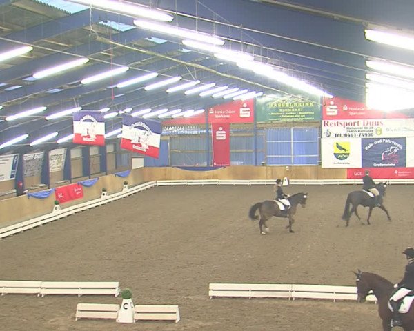 Dressurturnier Großenwiehe 2016