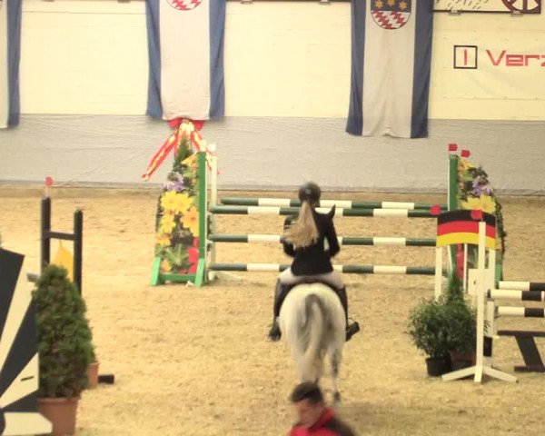 Legdener Ponymeeting 2016
