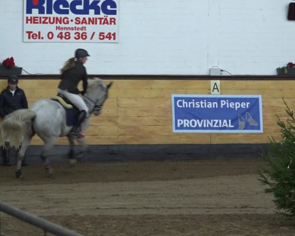 Reitturnier Heide 2021