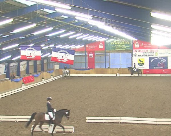 Dressurturnier Großenwiehe 2016