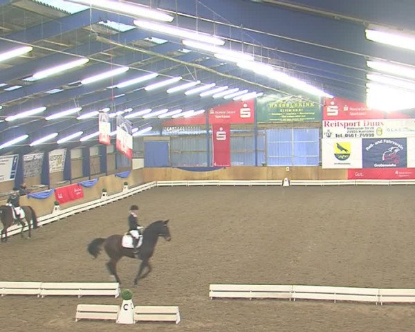 Dressurturnier Großenwiehe 2016