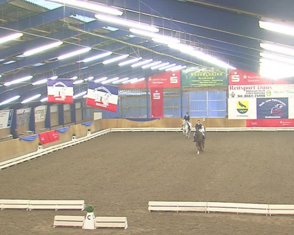 Dressurturnier Großenwiehe 2016