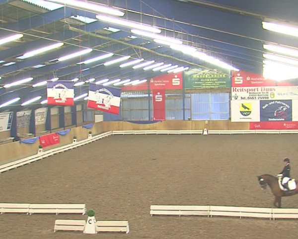 Dressurturnier Großenwiehe 2016