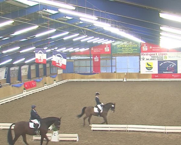 Dressurturnier Großenwiehe 2016