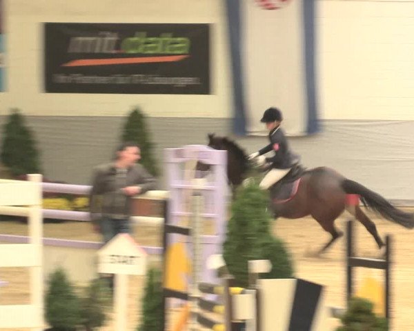 Legdener Ponymeeting 2016