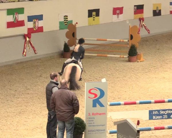 Legdener Ponymeeting 2016