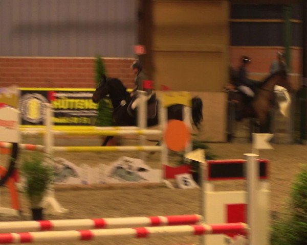 Reitturnier Iserlohn-Kalthof 2016