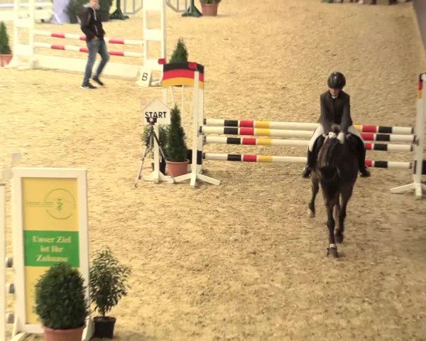 Legdener Ponymeeting 2016