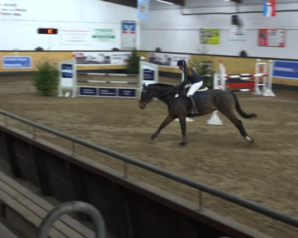 Reitturnier Heide 2021