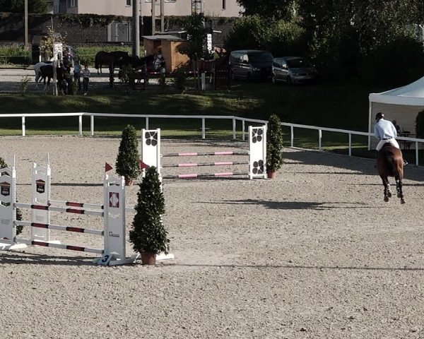 Pferdesporttage Bülach 2021