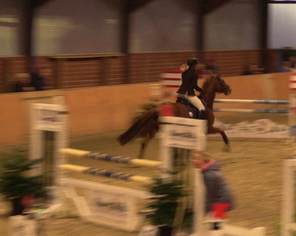 Reitturnier Iserlohn-Kalthof 2016