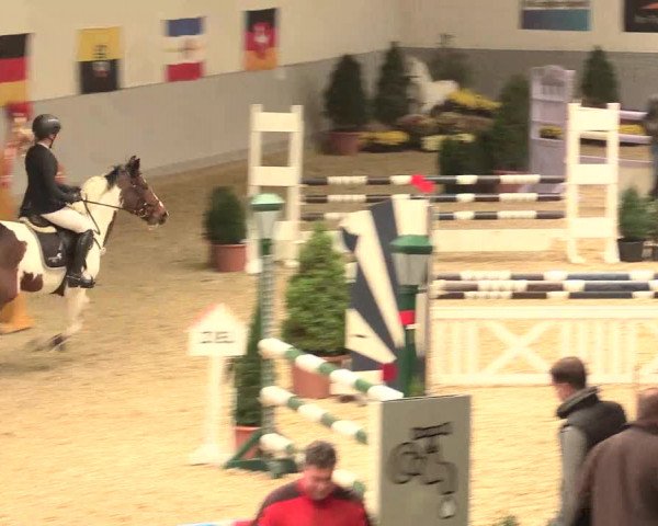 Legdener Ponymeeting 2016