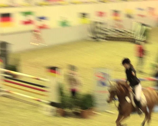 Legdener Ponymeeting 2016