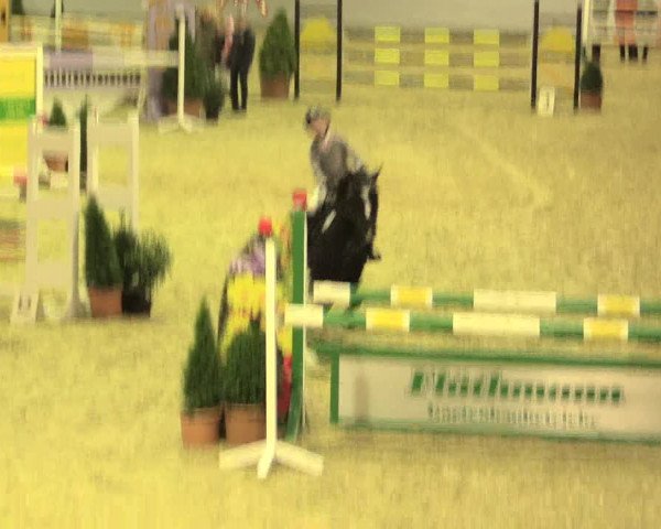 Legdener Ponymeeting 2016