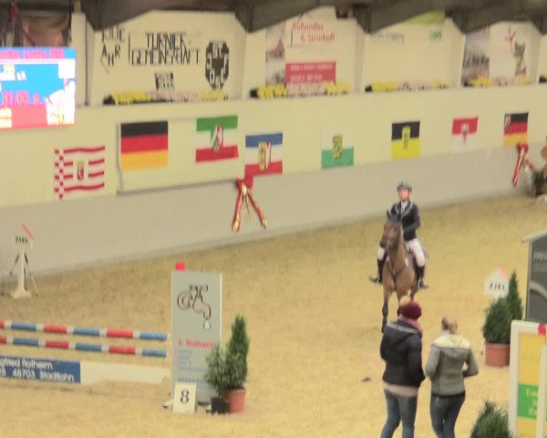 Legdener Ponymeeting 2016