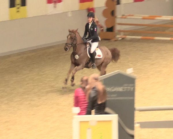 Legdener Ponymeeting 2016