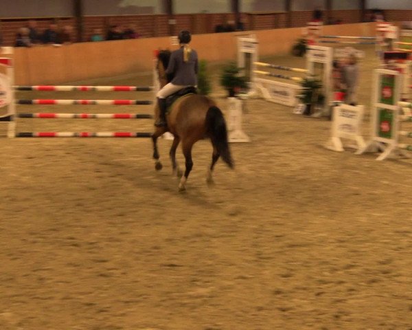 Reitturnier Iserlohn-Kalthof 2016