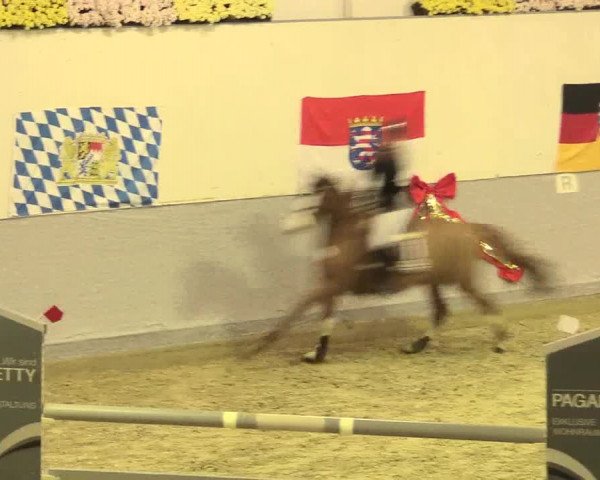 Legdener Ponymeeting 2016